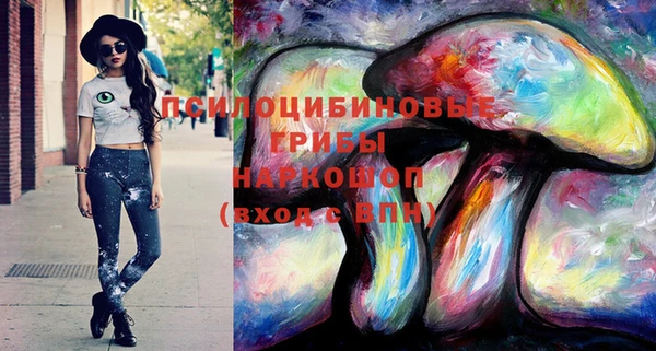 индика Нижний Тагил